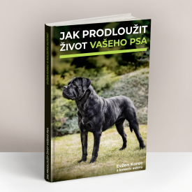 Tip na knihu: Jak prodloužit život vašeho psa