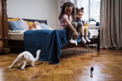 Společné hry jsou pro pohodu vaší kočky klíčové, potvrdili vědci