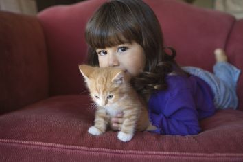 Prevence před ektoparazity z pohledu veterinárního lékaře
