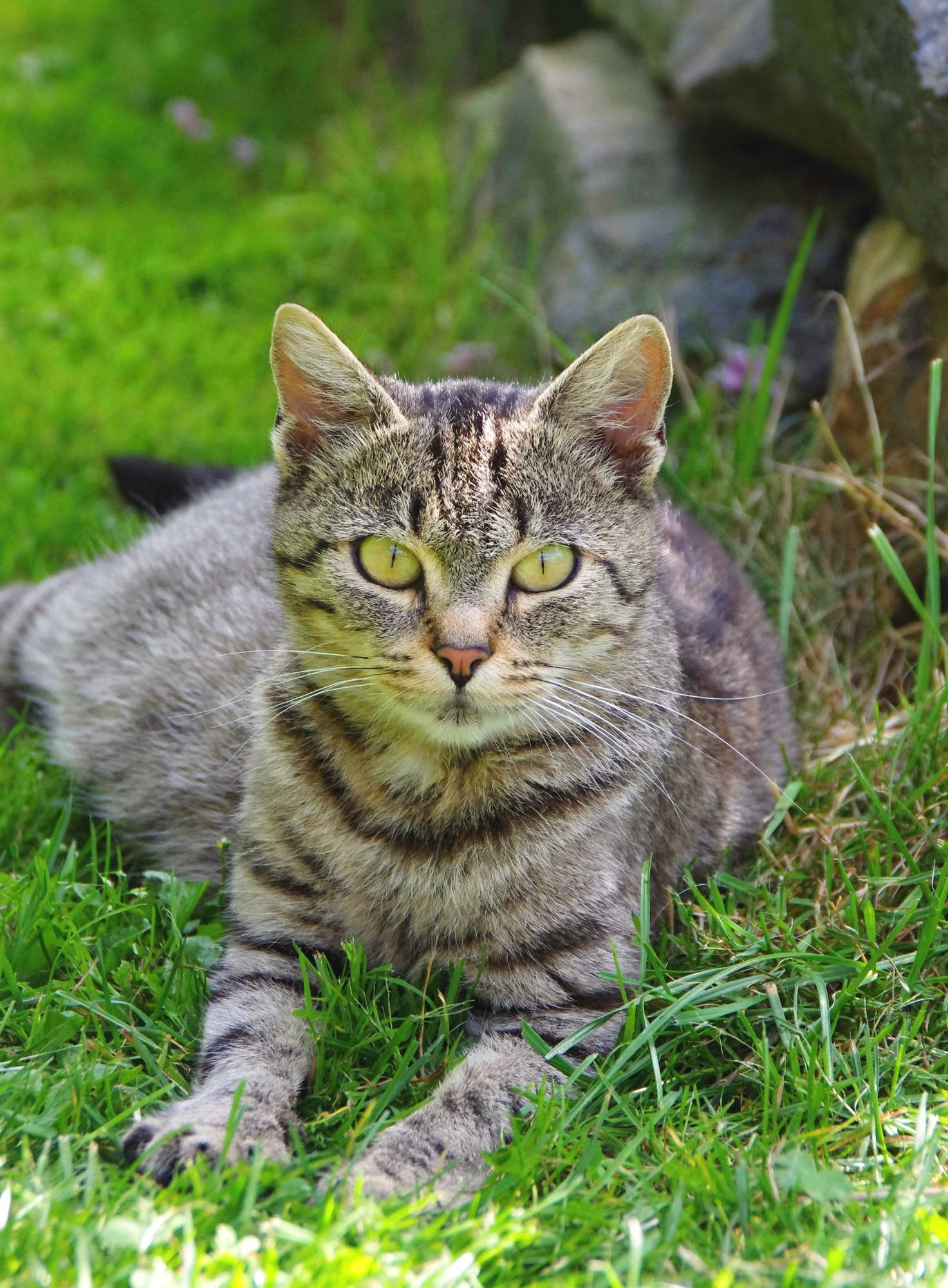 Blechy v číslech