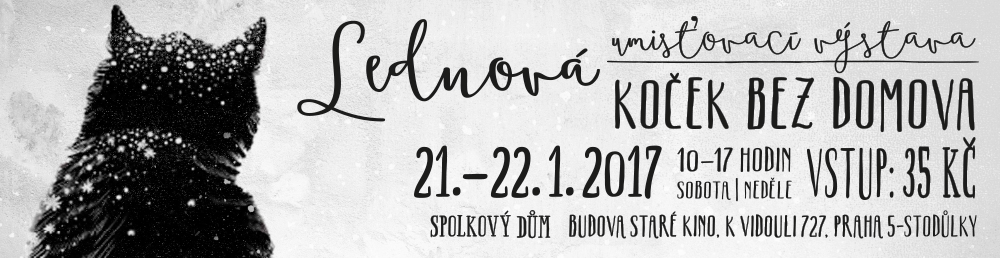 Pozvánka: Lednová umisťovací výstava koček bez domova