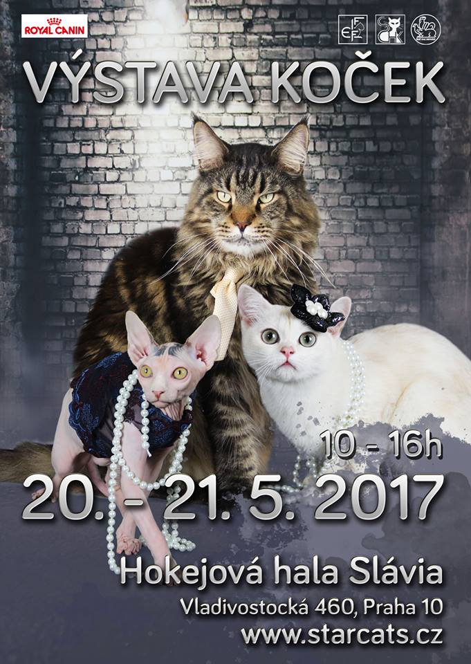 Pozvánka: Mezinárodní výstava koček Praha Slavia 20.-21. 5. 2017