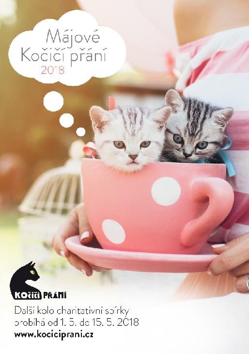 Májové kočičí přání právě probíhá