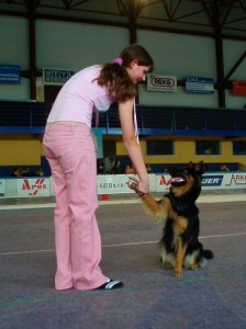 Dogdancing