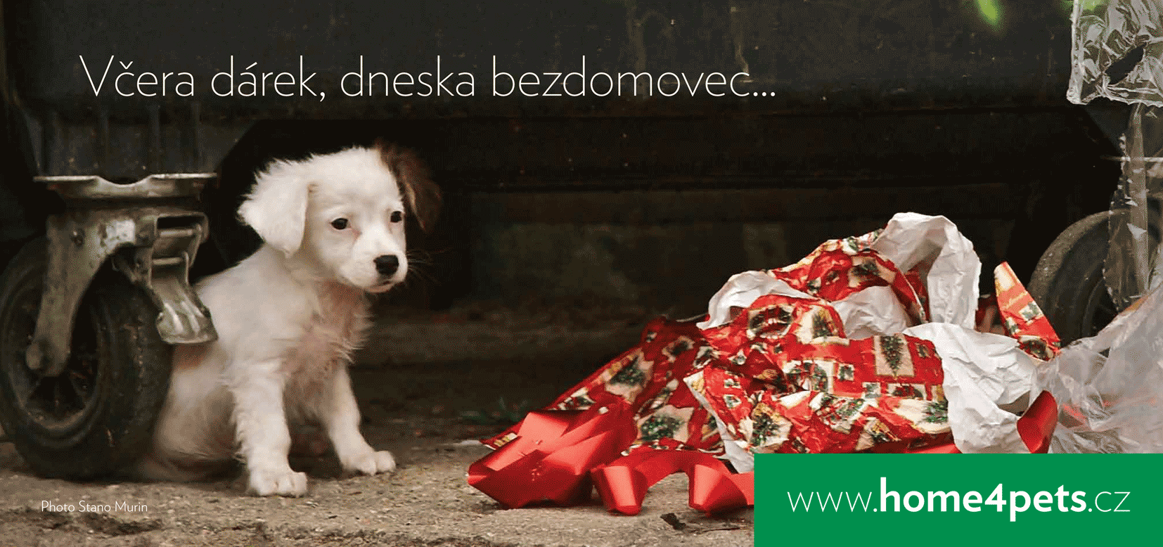 Povánoční bezdomovci