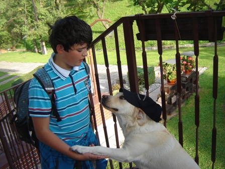Podávání packy