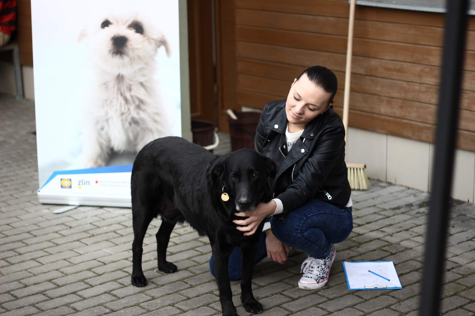 Přijďte s Němou tváří přivítat jaro do Útulku pro zvířata v nouzi Zlín-Vršava