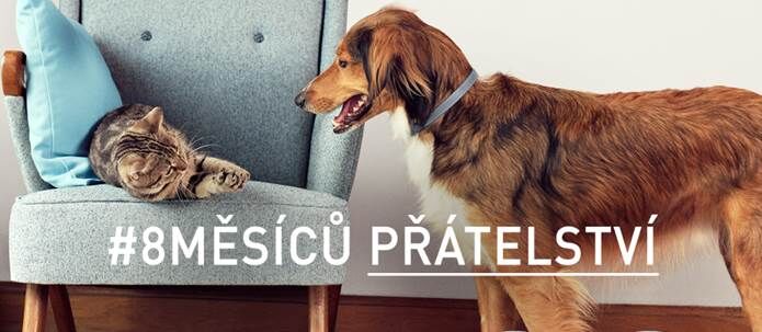 Zažijte 8 perfektních měsíců s vaším štěnětem