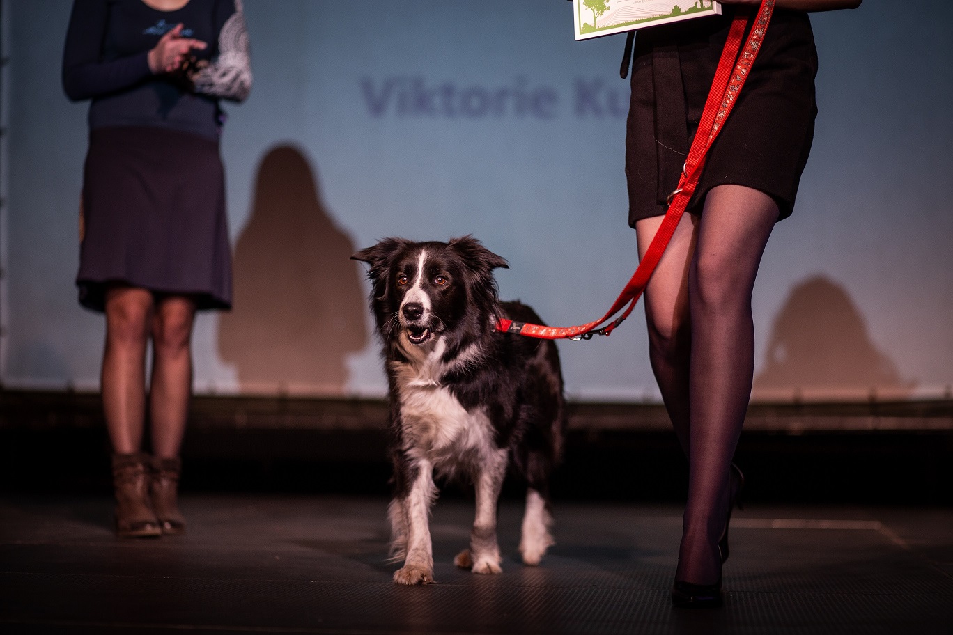 Titul Kynolog roku 2018 vyhrál Václav Ouška