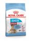 Royal Canin MEDIUM STARTER - granule pro březí nebo kojící feny a štěňata
