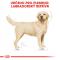 Royal Canin Labrador Adult - granule pro dospělého labradora