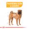 Royal Canin Medium Dermacomfort - granule pro střední psy s problémy s kůží