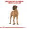 Royal Canin Great Dane Adult - granule pro německou dogu