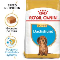 Royal Canin Dachshund Puppy - granule pro štěně jezevčíka