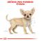 Royal Canin Chihuahua Puppy - granule pro štěně čivavy