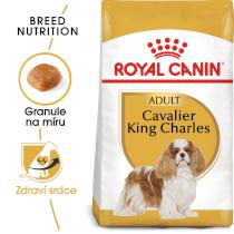 Royal Canin Cavalier King Charles Adult - granule pro dospělého kavalír king charles španěl
