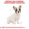 Royal Canin French Bulldog Puppy - granule pro štěně francouzského buldočka