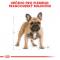 Royal Canin French Bulldog Adult - granule pro dospělého francouzského buldočka