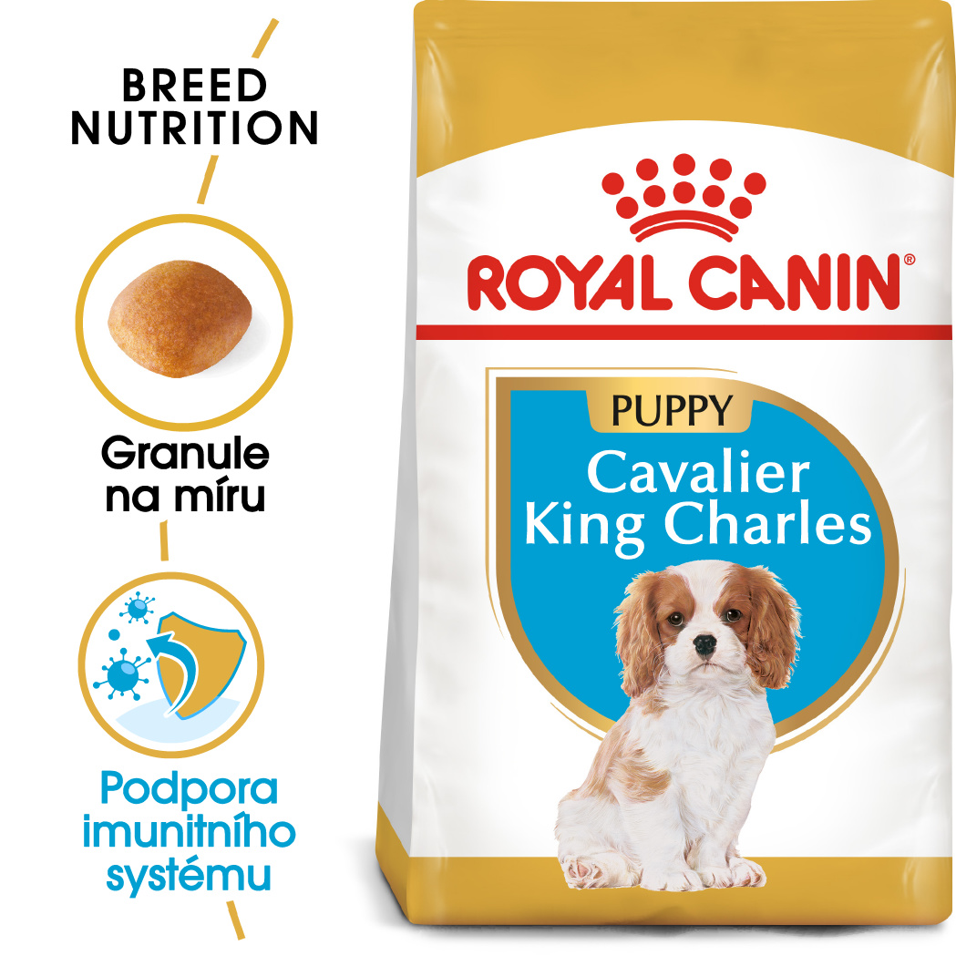 ROYAL CANIN Cavalier King Charles Puppy - granule pro štěně kavalír king charles španěl