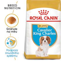 ROYAL CANIN Cavalier King Charles Puppy - granule pro štěně kavalír king charles španěl