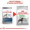 Royal Canin Maxi Digestive Care - granule pro velké psy s citlivým trávením