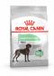 Royal Canin Maxi Digestive Care - granule pro velké psy s citlivým trávením