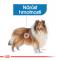 Royal Canin Maxi Light Weight Care - dietní granule pro velké psy