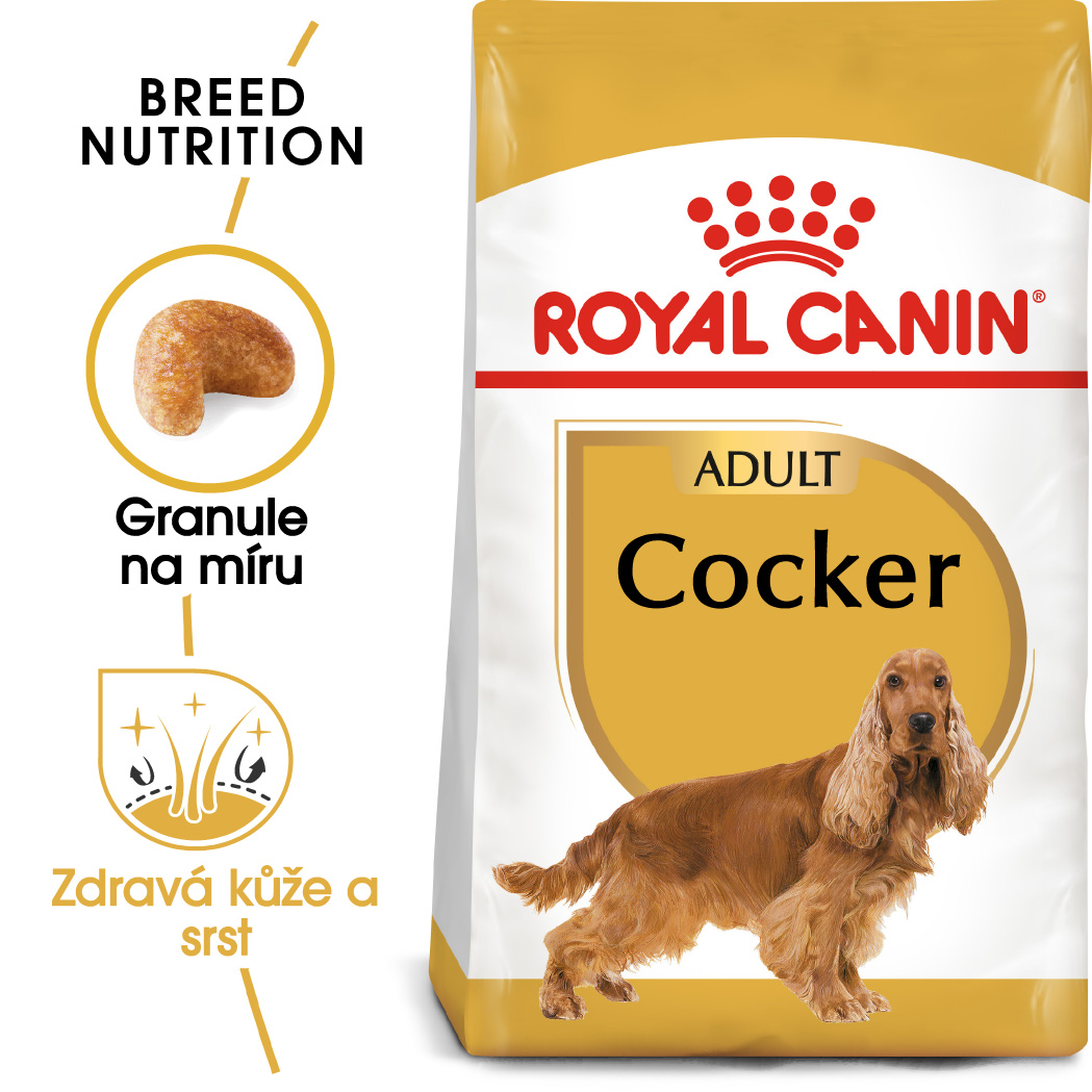 Royal Canin Cocker Adult - granule pro dospělého kokršpaněla