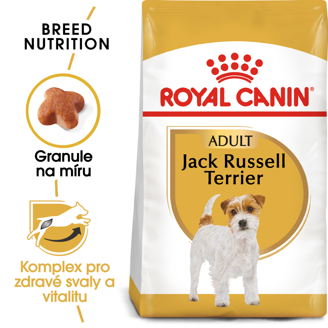 Royal Canin Jack Russell Adult - granule pro dospělého jack russell teriéra