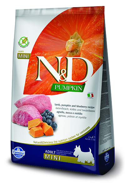 N&D dog GF PUMPKIN ADULT MINI lamb/blueberry