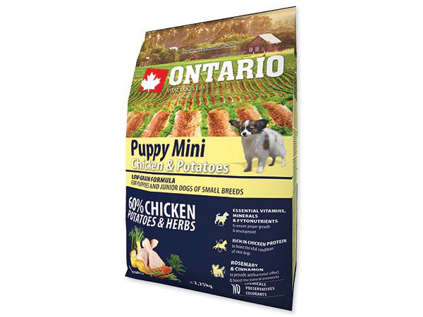 ONTARIO dog PUPPY MINI chicken