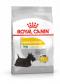 Royal Canin Mini Dermacomfort - granule pro malé psy s problémy s kůží