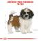 Royal Canin Shih Tzu Puppy - granule pro štěně Shih Tzu