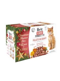 BRIT CARE kapsa Christmas flavour box  12+1  MULTIPACK