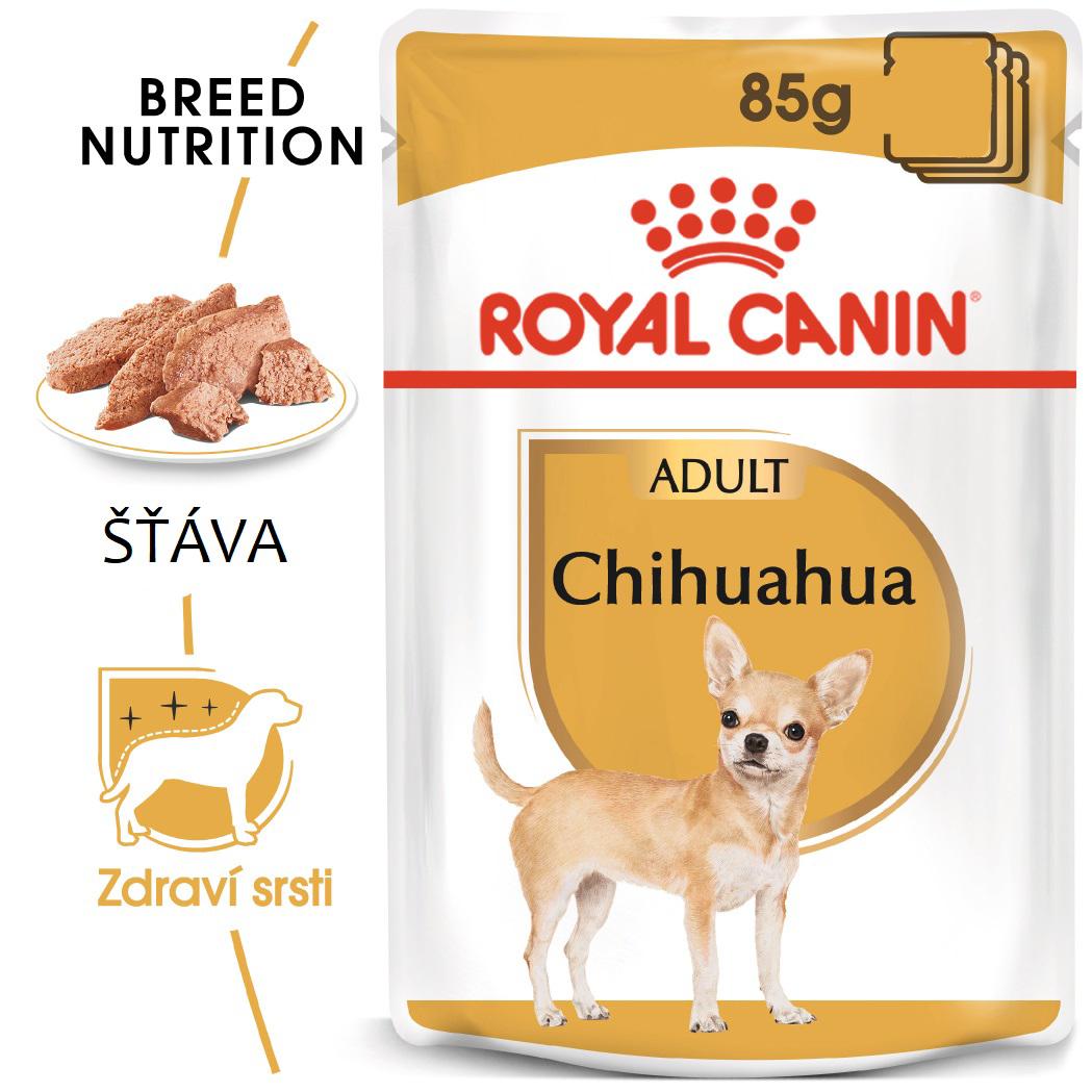 Royal Canin Chihuahua Loaf - kapsička s paštikou pro čivavu