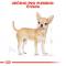 Royal Canin Chihuahua Adult - granule pro dospělou čivavu