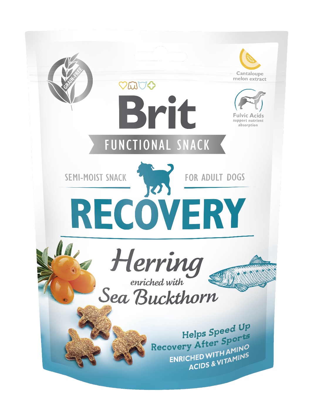 BRIT snack RECOVERY herring/sea buckthorn