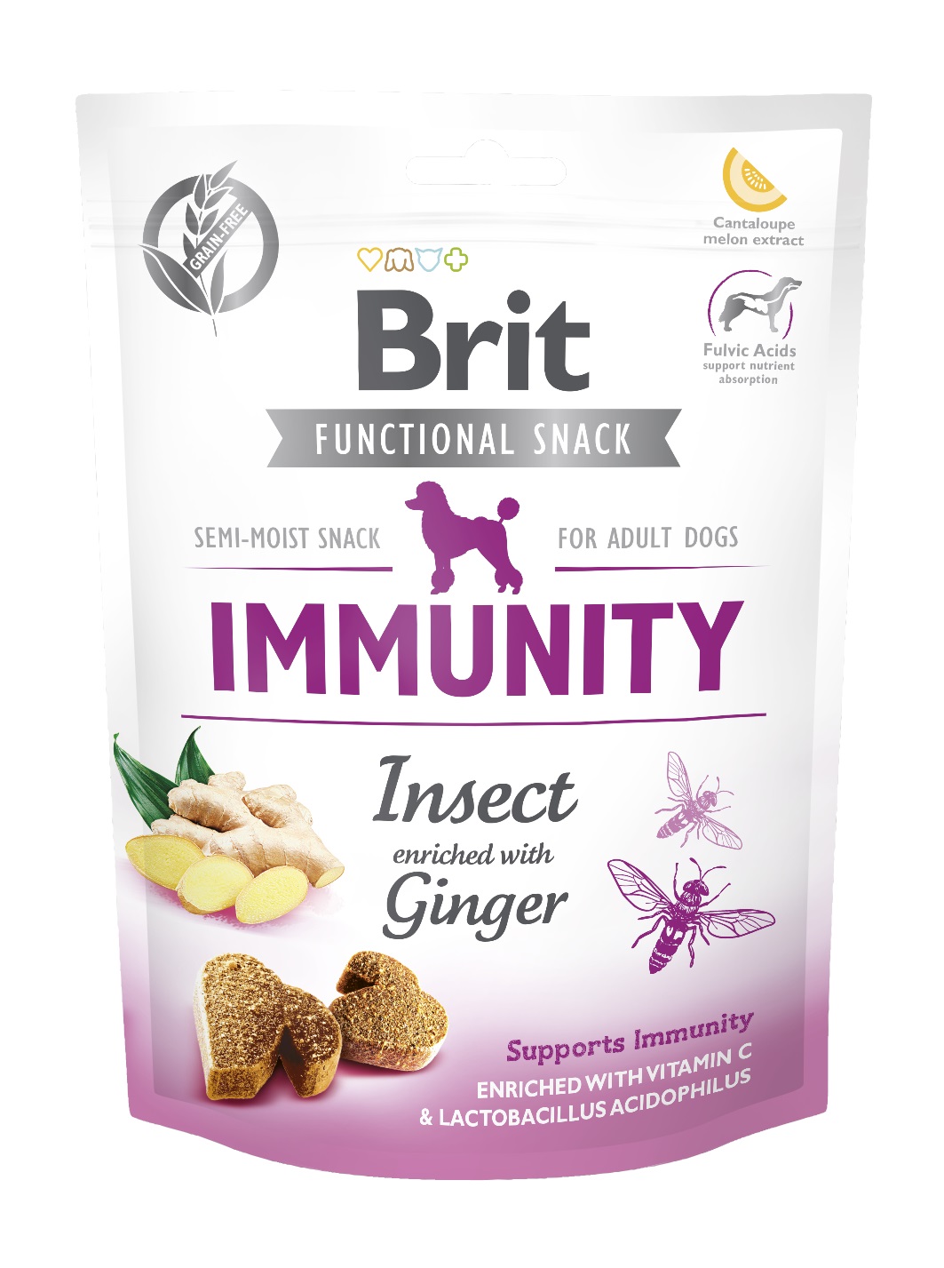 BRIT snack IMMUNITY isect/ginger