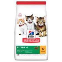 Hills cat KITTEN/chicken