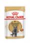 Royal Canin British Shorthair Gravy - kapsička pro britské krátkosrsté kočky ve šťávě