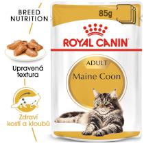 Royal Canin Maine Coon Loaf kapsička s paštikou pro mainské mývalí kočky