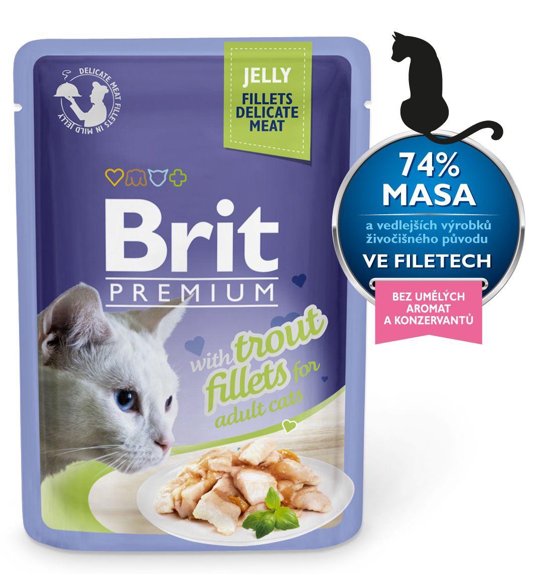 Brit Premium Adult Fillets in Jelly 85g - Pstruh (exp. 13.6.2024)