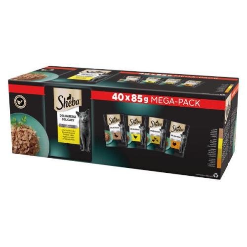 Sheba Delikatesse Delicacy Drůbeží Výběr - 40 x 85g 