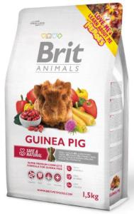 BRIT animals  GUINEA PIG