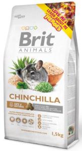 BRIT animals  CHINCHILA