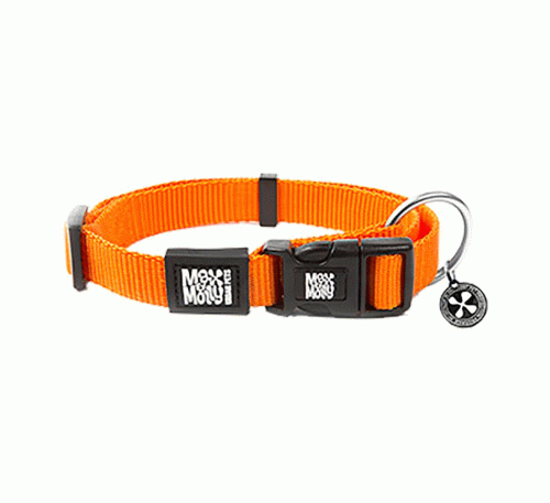 Max and Molly Obojek Orange - L/2,5/39 až 62 (Doprodej)